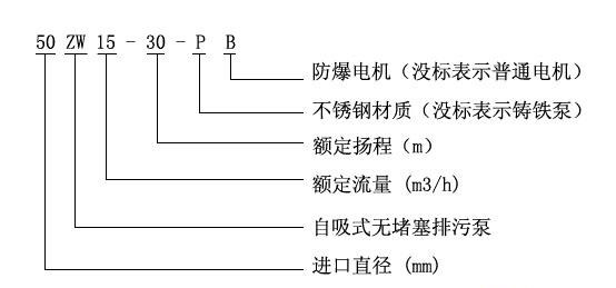 ZW型自吸式无堵塞深夜福利视频在线观看型号意义